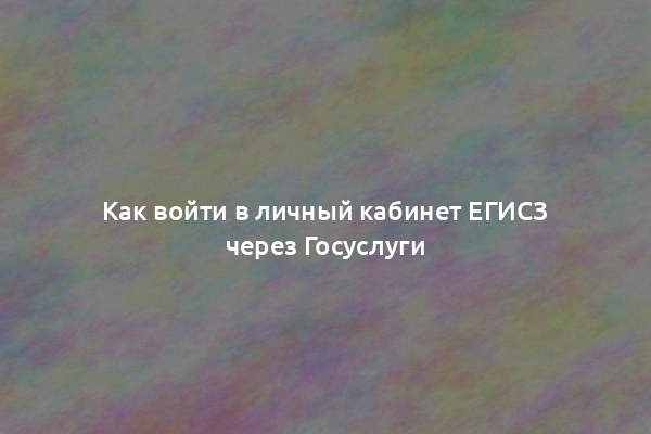 Как войти в личный кабинет ЕГИСЗ через Госуслуги